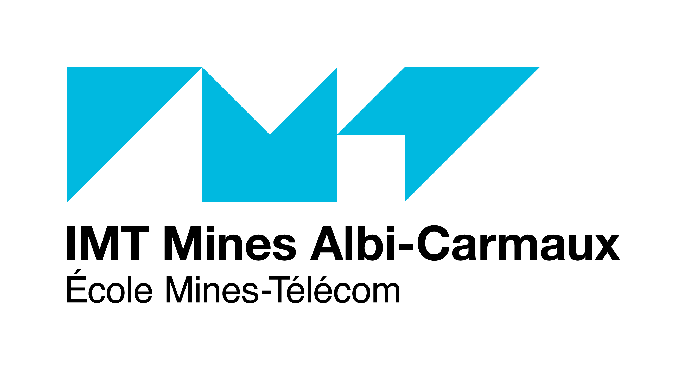 IMT_MinesAlbi_Logo
