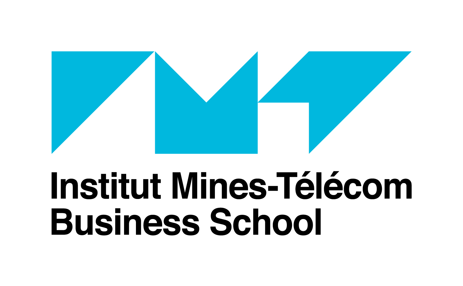 IMT-Business-School-Logo